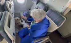 Su Ita il primo volo con due cani in cabina senza trasportino