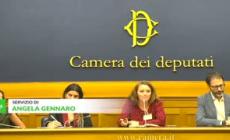 Voluntary Humanitarian Refusal? "Una scelta che non puoi rifiutare"