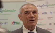 Cottarelli: "Su nucleare si sta solo perdendo tempo"