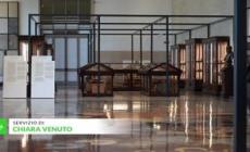 Roma, al Museo delle Civilta' completata la mostra dell'Ispra