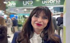 Proietti: "Umbria nuova meta turistica internazionale, crescono arrivi e presenze"