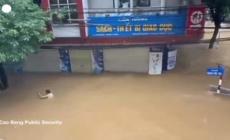 Inondazioni record in Vietnam, salvato uomo aggrappato a un albero
