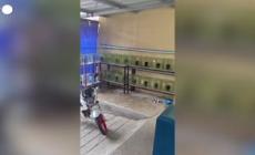 Filippine, la fuga delle persone a causa del terremoto di magnitudo 7,4