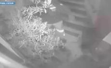 Finti agenti per rapinare la gioielleria e il laboratorio orafo, 8 arresti a Milano