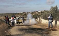 Cisgiordania, raccolta delle olive non consentita ai palestinesi