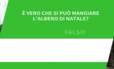 Ansa VERIFIED - E' vero che si puo' mangiare l'Albero di Natale?