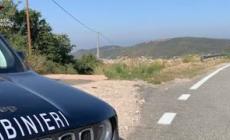 Corsa di cavalli per le vie di Orani: denunciati otto giovani