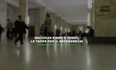 Raccolta firme e tempi, le tappe del referendum
