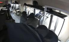 Torino, "spaccata" e furto in un negozio: quattro arresti