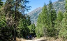 Estate di San Martino con l'alta pressione: anche 10 gradi oltre la media fino a gioved&igrave; 