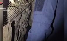 Scoperto bunker sotterraneo con piantagione di marijuana - Video