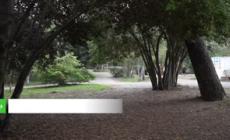 Roma, ville storiche senza custodi, protestano i cittadini