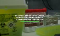 In Europa 35mila morti all'anno per antibiotico-resistenza