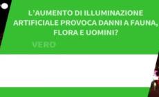 Ansa VERIFIED - L'aumento di illuminazione artificiale provoca danni a fauna, flora e uomini?