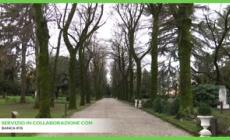 Viaggio nel Parco internazionale di scultura di Mestre