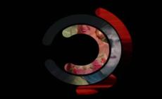 "Siamo serie": Vita da Carlo, Kingdom e Gli oceani sono i veri continenti