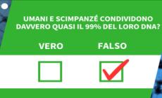 Ansa VERIFIED - Umani e scimpanze' condividono davvero quasi il 99% del loro Dna?