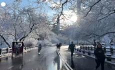 New York si veste di bianco, e a Central Park c'e' anche chi scia