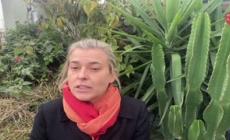 La seconda vita di Punto, un cane che ha fatto la differenza