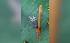 Morti sul lavoro, un "Albero delle vite cadute" per ricordare le vittime del 2025