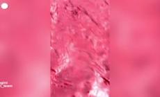 La "pioggia di sangue" tinge la spiaggia dell'isola iraniana di Hormoz