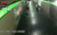 Violenza sessuale su minori, arrestato 19enne ecuadoriano:  seguiva in monopattino le ragazzine fino a casa per violentarle - Video
