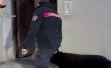 Sequestrata nel Reggino una tonnellata di botti illegali