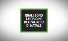 Quali sono le origini dell'albero di Natale