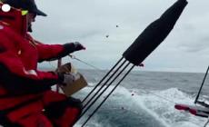 Petali in mare, l'omaggio alle vittime di Bondi beach alla Sydney-Hobart