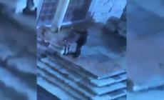 Verona, individuato l'imbrattatore dei leoni di San Zeno