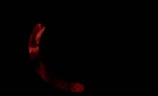 "Siamo serie": Goodbye June, Pomeriggi di Solitudine, Paradiso in fiamme