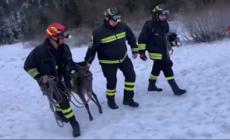 I Vigili del fuoco salvano un cervo intrappolato in un lago ghiacciato