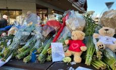 Noi e quelle farfalle perdute nel rogo