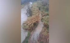 Il maltempo non da' tregua, a Roma esonda il fiume Aniene nel quartiere Tiburtino