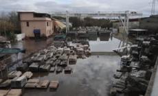 Roma, l'esondazione del fiume Aniene