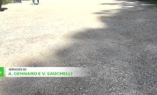 "Sull'Adhd mancano le linee guida, disturbo sottovalutato"