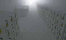 Antartide, ecco l'archivio dei ghiacci "Ice Memory"