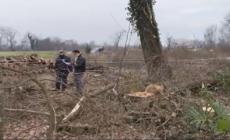 Incidente sul lavoro, operaio 39enne muore nel Torinese