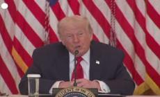 Trump: "Potrei imporre dazi sui paesi non d'accordo sulla Groenlandia"