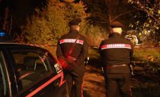 Alice Neri uccisa a Modena, i giudici: "Impossibile ipotizzare l'innocenza di Gaaloul" 