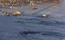 Il Poetto devastato dalle mareggiate, bar e stabilimenti invasi dall'acqua