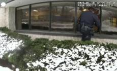 Usa, scatta l'allarme anti-intrusione: ma l'intruso in banca e' un cervo