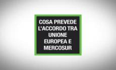 Cosa prevede l'accordo tra Unione europea e Mercosur