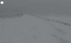 Usa, paesaggi imbiancati e lago ghiacciato: la magia del Webster Park dall'alto