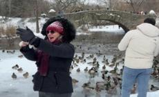 Non solo disagi, lo spettacolo di New York sotto la neve