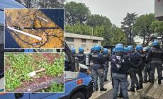 Trasferte vietate ai tifosi di Lazio e Napoli fino a fine stagione 