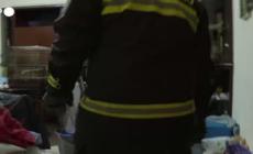 Vigili del Fuoco salvano dei pappagalli da casa in zona rossa a Niscemi