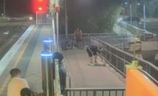 Sydney, serpente "blocca" l'accesso di una stazione. Poi arriva un giovane pratico...