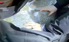 Capannone a Leini' come deposito, sequestrata quasi mezza tonnellata di droga