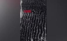 Referendum, il Pd lancia un video di un'adunata fascista: "Loro votano si'"